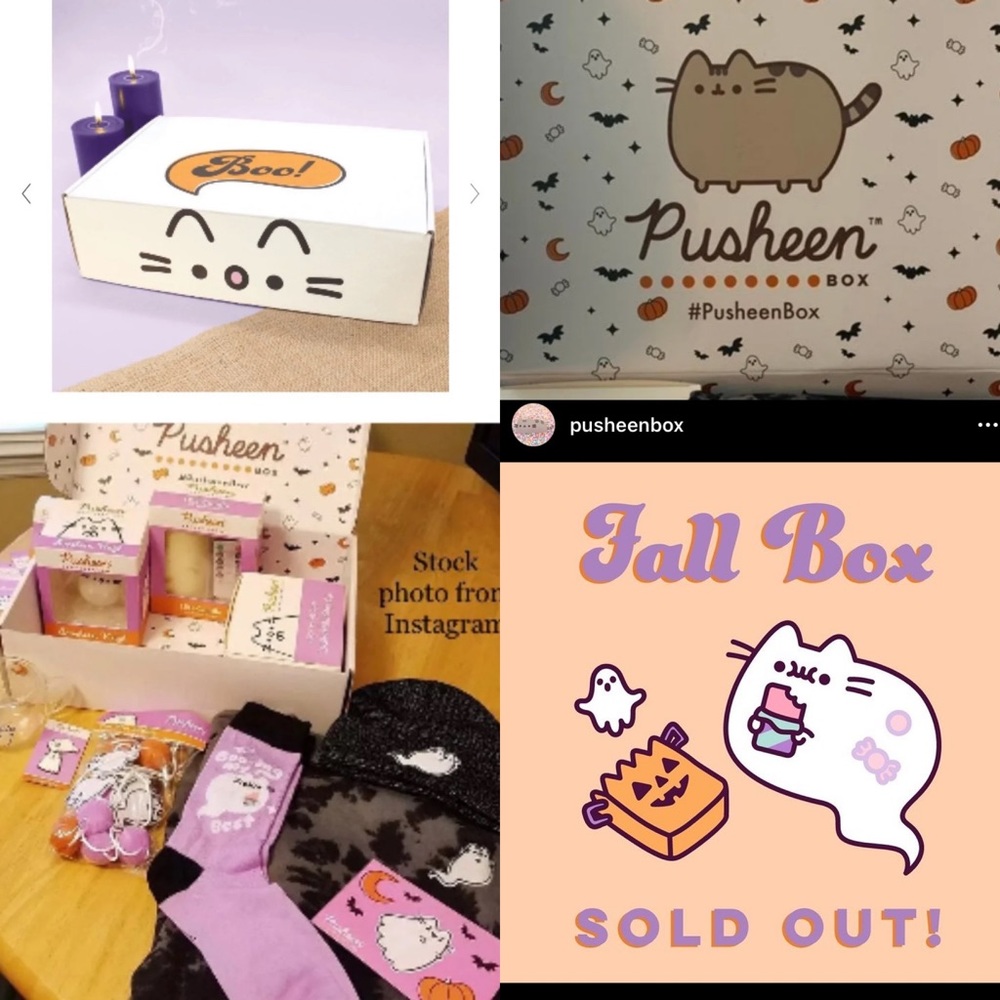 Pusheen Fall Box 2021 featuring boosheen